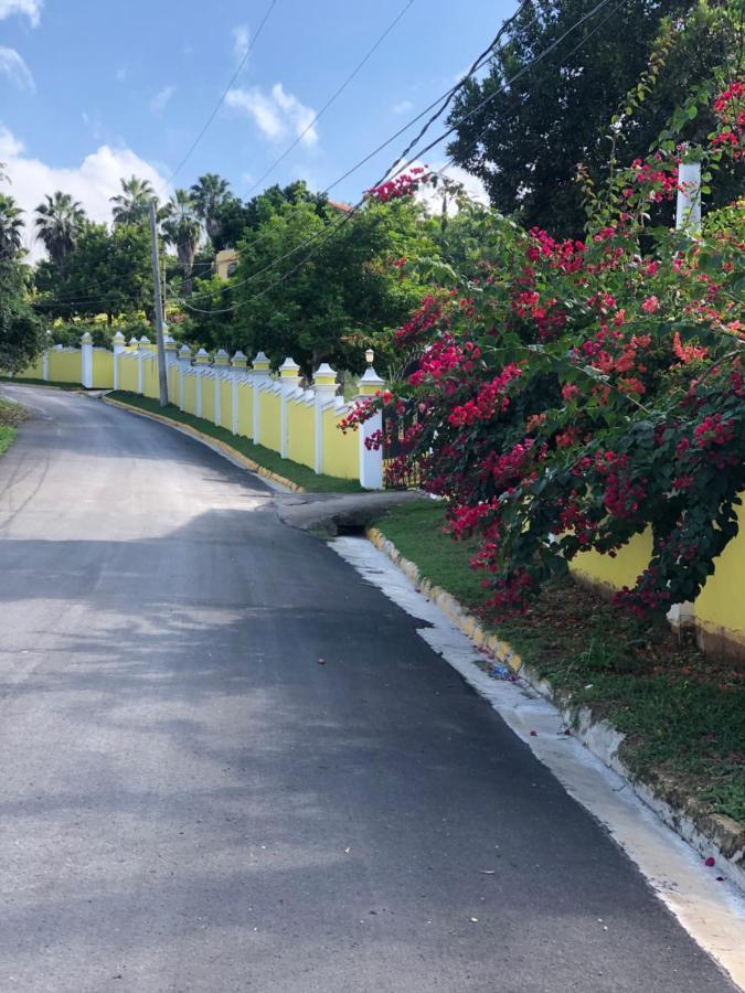 Gasthof Pura Vida Jamaica Falmouth